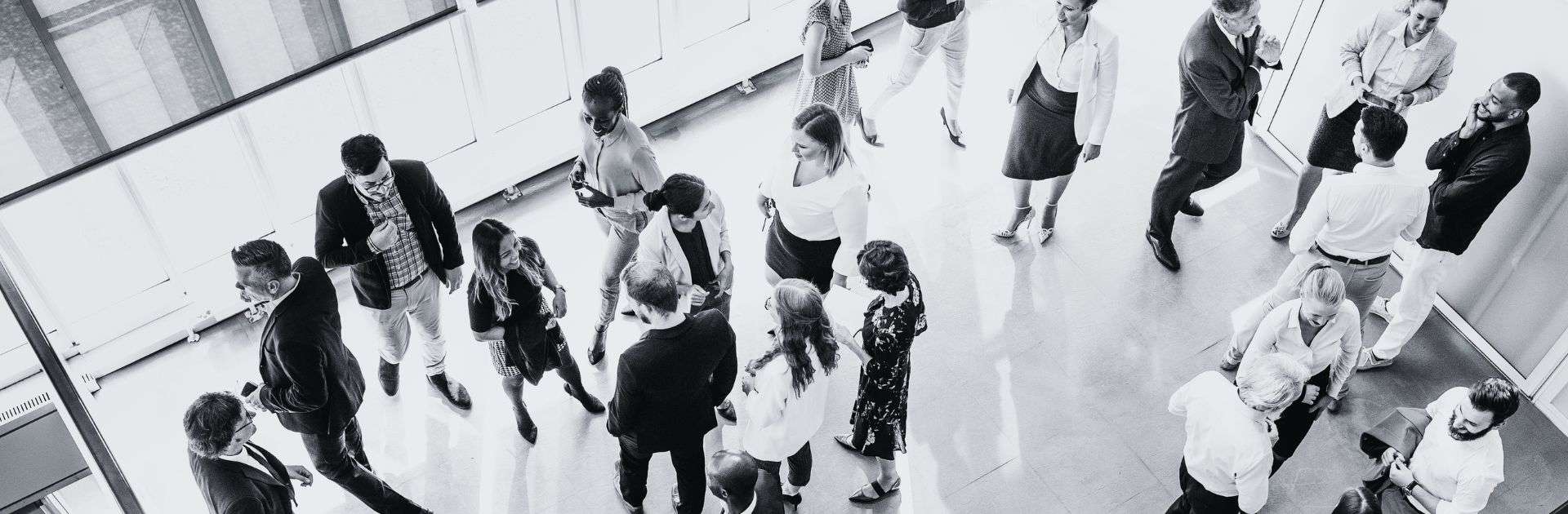 GOING PUBLIC! Akademie für Finanzberatung AG & Co. KG